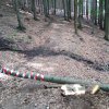 IMG-20220908-WA0009